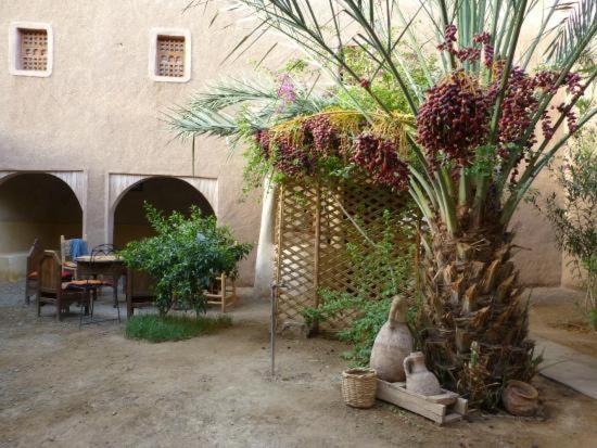 Kasbah Timidarte 호텔 Zaouita Bou Lhassane 외부 사진