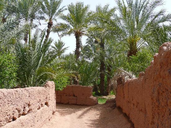 Kasbah Timidarte 호텔 Zaouita Bou Lhassane 외부 사진